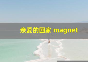 亲爱的回家 magnet